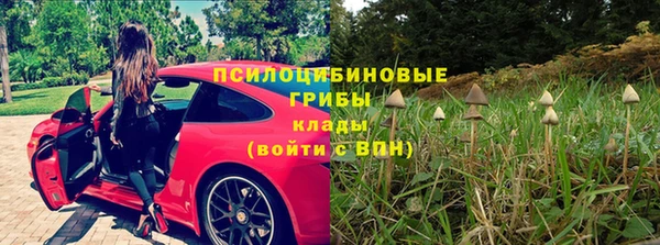 винт Гусиноозёрск